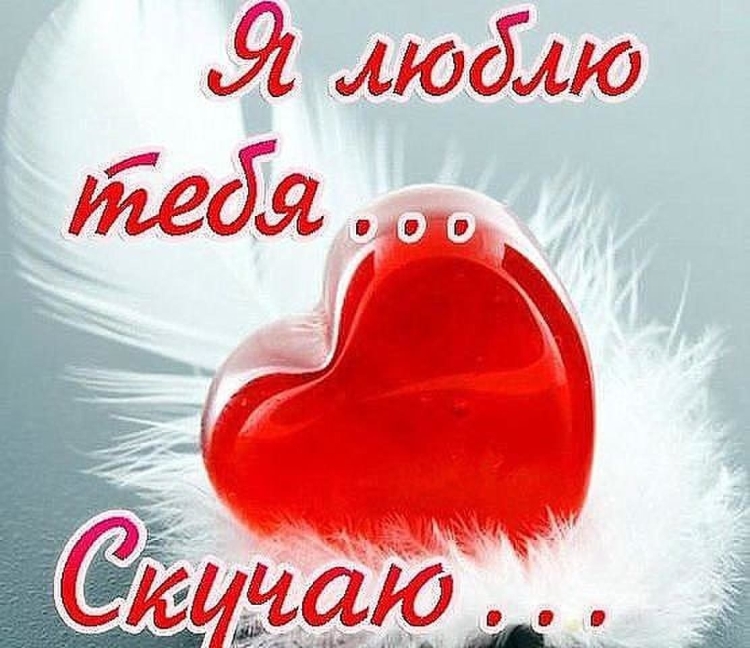 Я тебя люблю