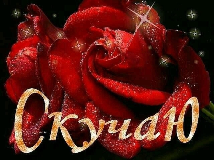 Соскучилась картинки с надписями