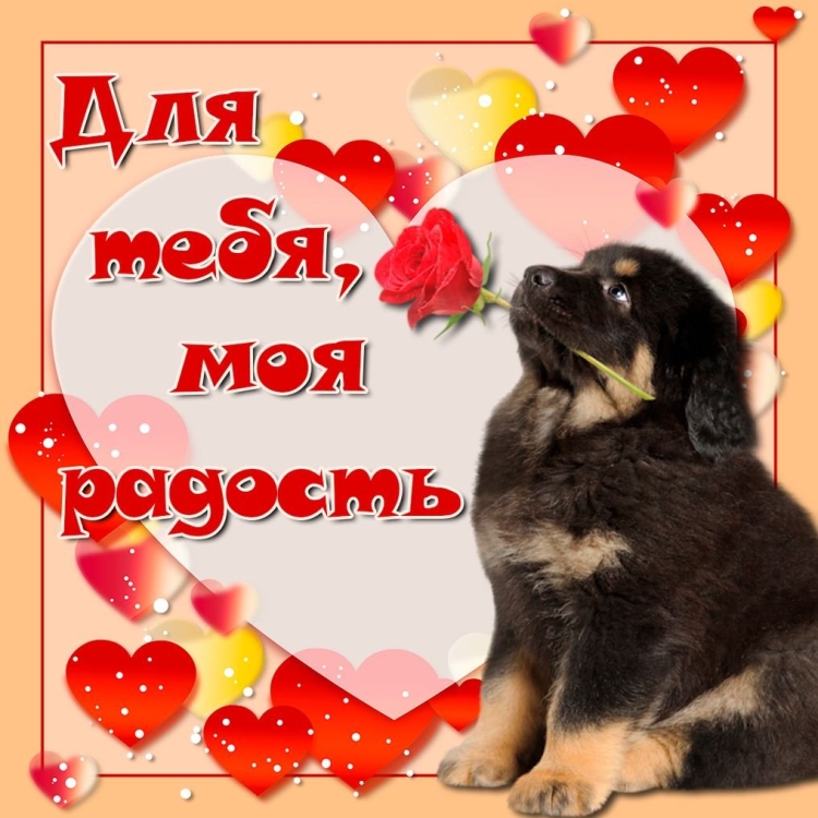 Открытки я люблю тебя милая