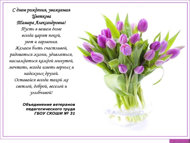 Тюльпан сиреневый