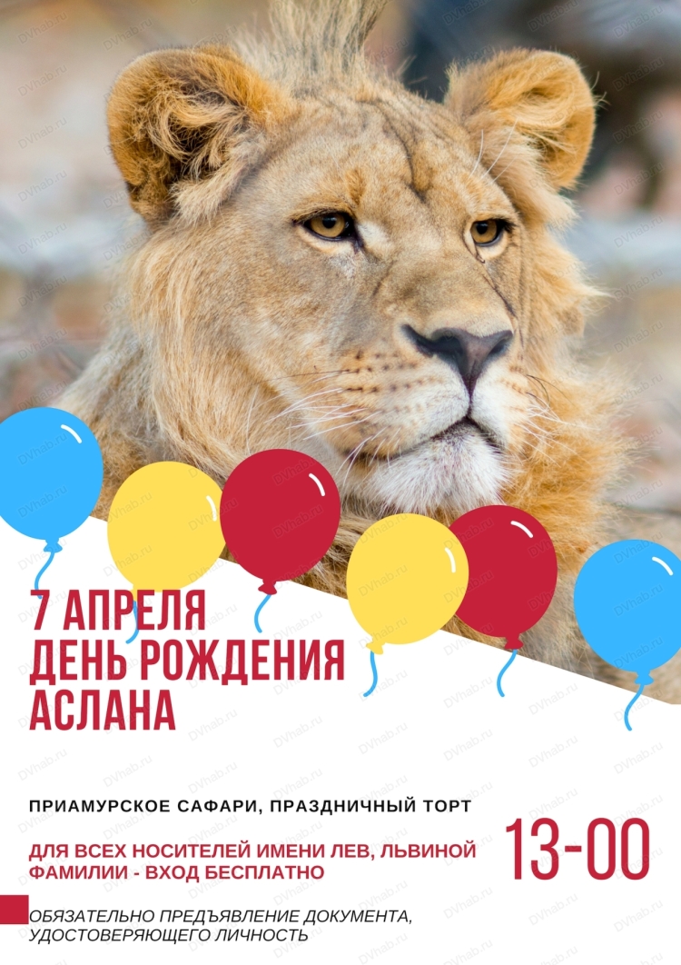 Открытка с днем рождения Львенок
