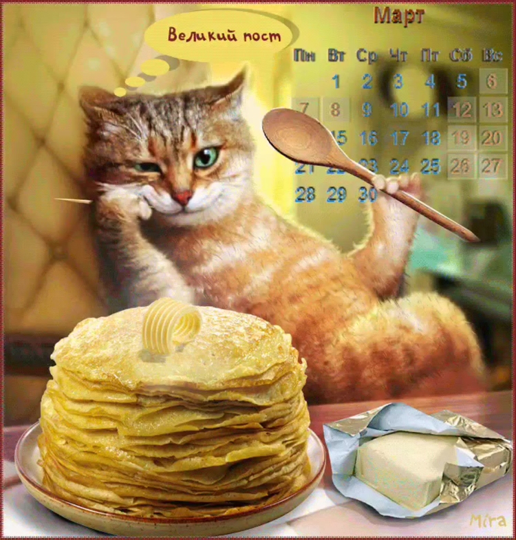Масленица котики