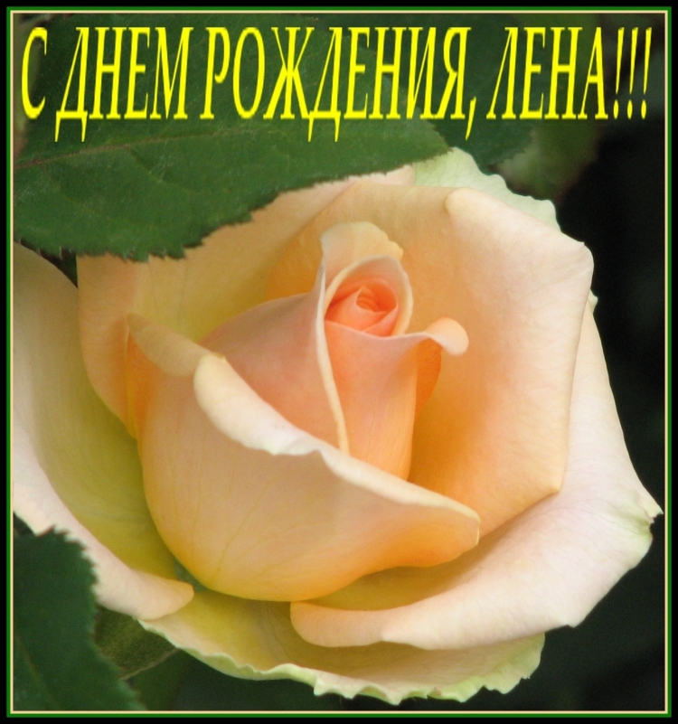 Букет для Лены