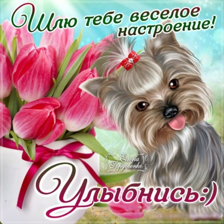 Открытки с добрым утром Танюша