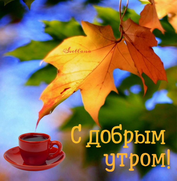 Спасибо доброго дня