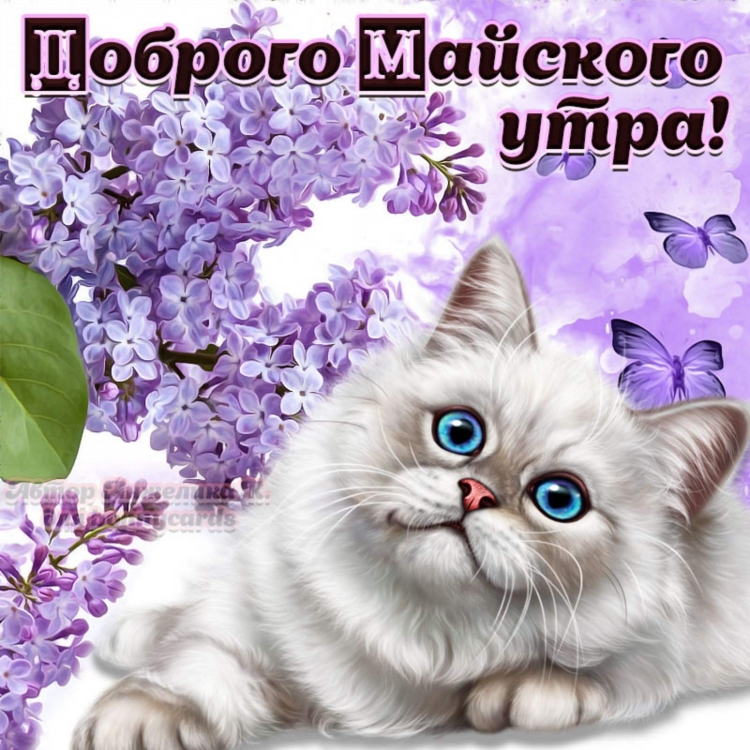 Сердечного доброго утра