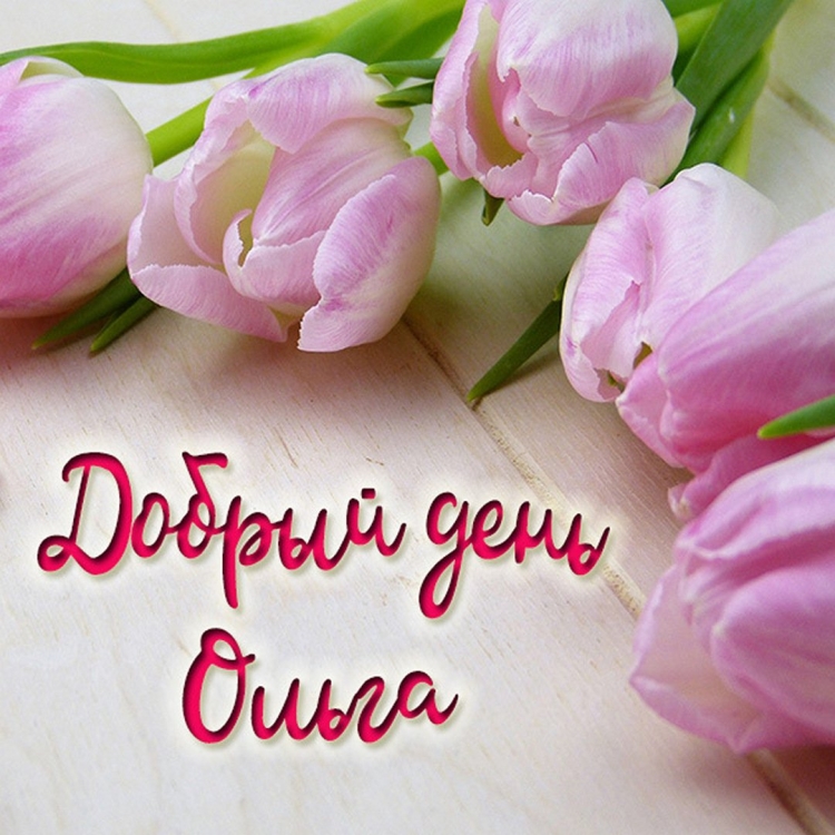 Открытки с добрым утром с собачками