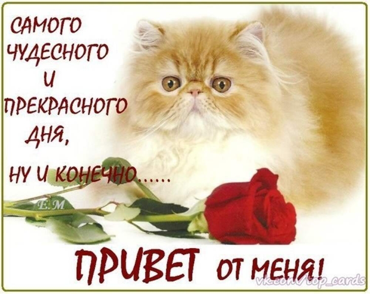 Доброе утро Анечка