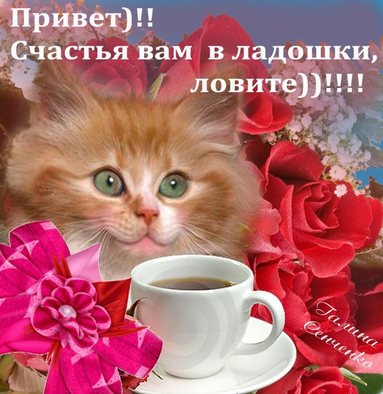 Пожелаеи ям ч дрбрым утром