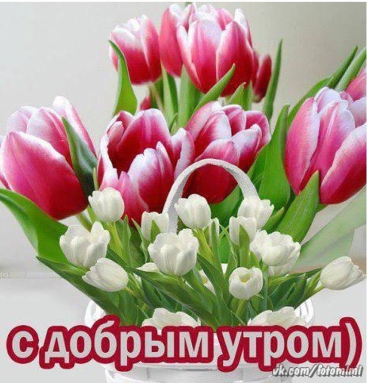 Цветы с пожеланиями