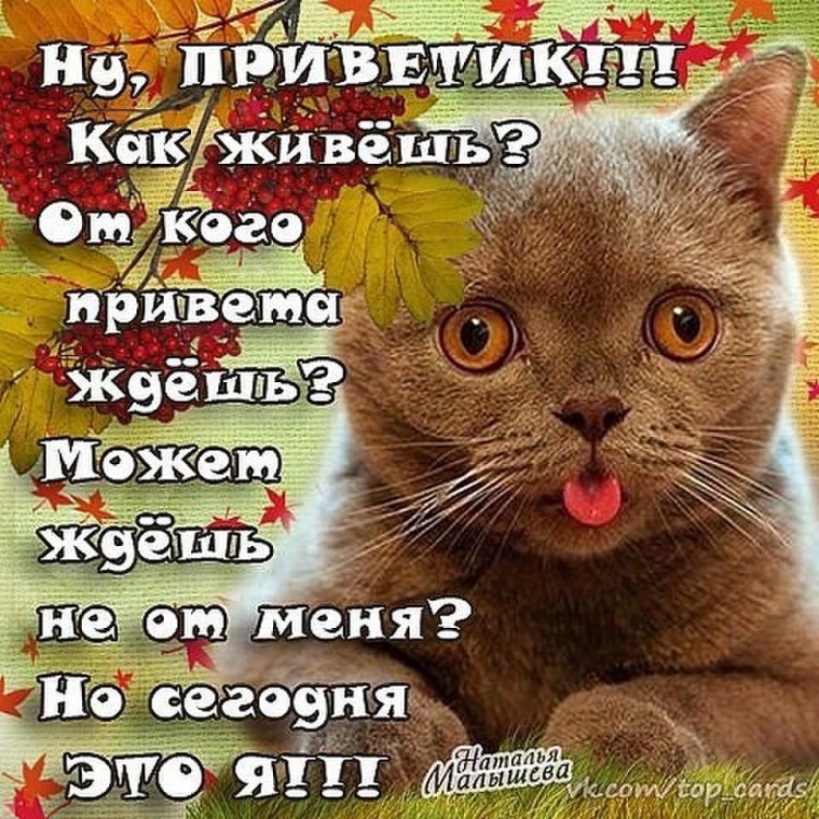 Поздравления с добрым утром и днем