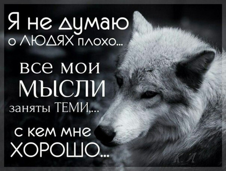 Цитаты волка