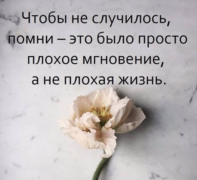 Красивые цитаты