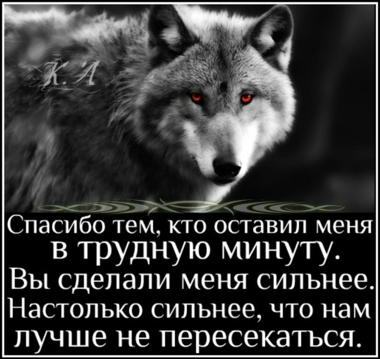 Спасибо волк