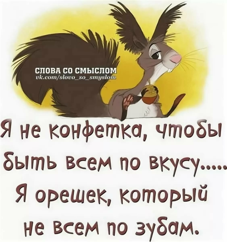 Веселые цитаты