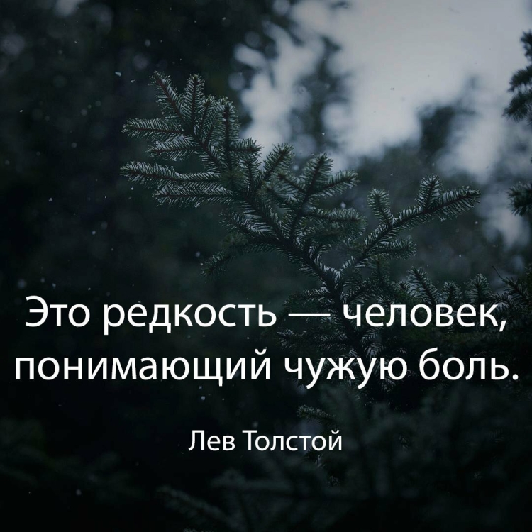 Красивые цитаты
