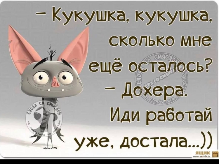 Смешные высказывания о жизни