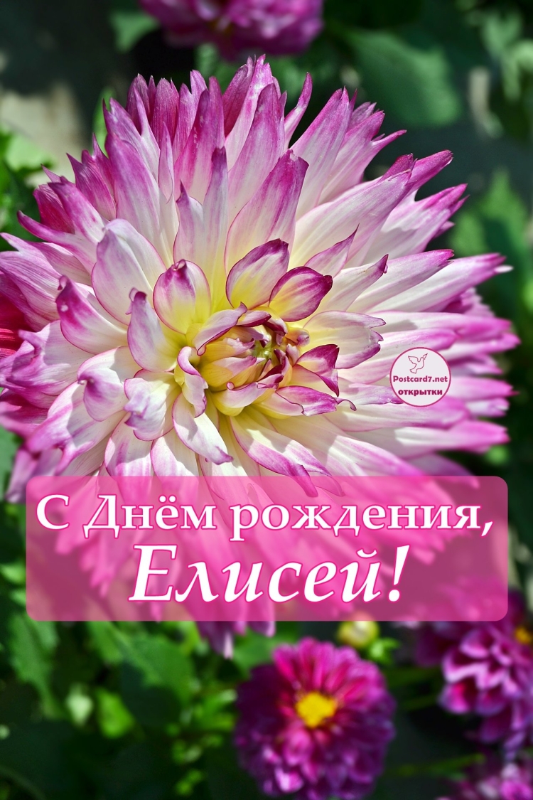 С днём рождения Елисей