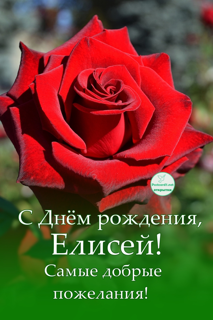 Егору 1 год поздравления с днем рождения
