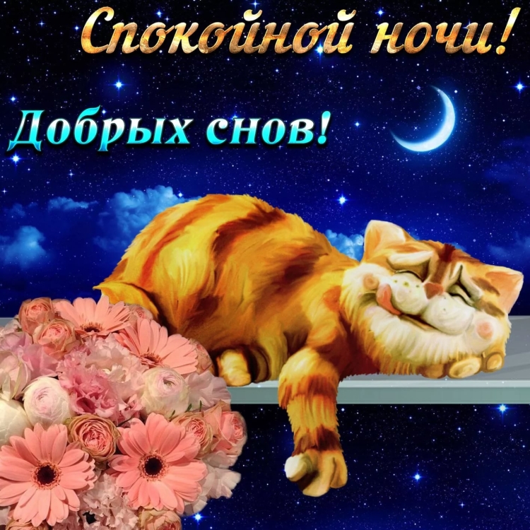 Спокойной ночи сладких снов