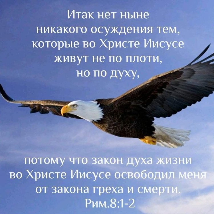 Парящий Орел