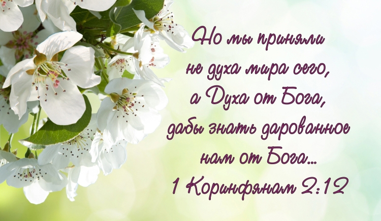 Картинки христианские с добрым утром с Цитатами