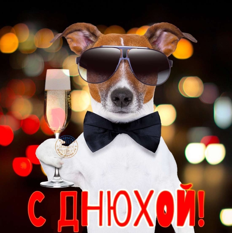 С днём рождения Стас