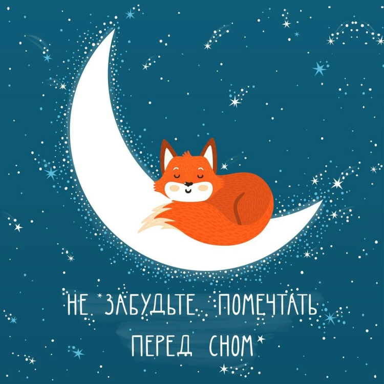 Спокойной ночи Сова