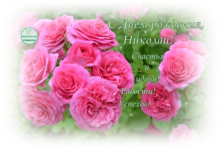 С днём рождения Николай