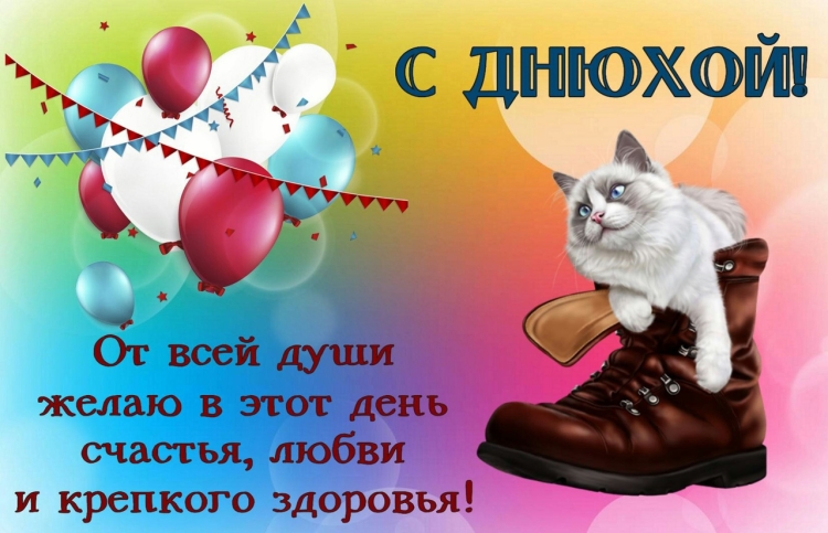 С днюхой тебя