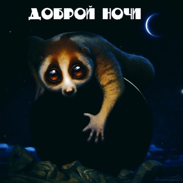 Доброй ночи картинки