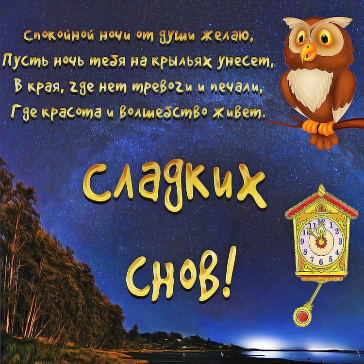 Ночь сладких снов