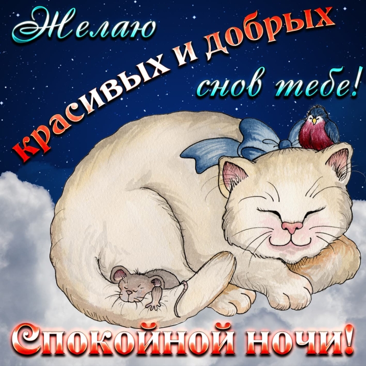Прикольные пожелания спокойной ночи