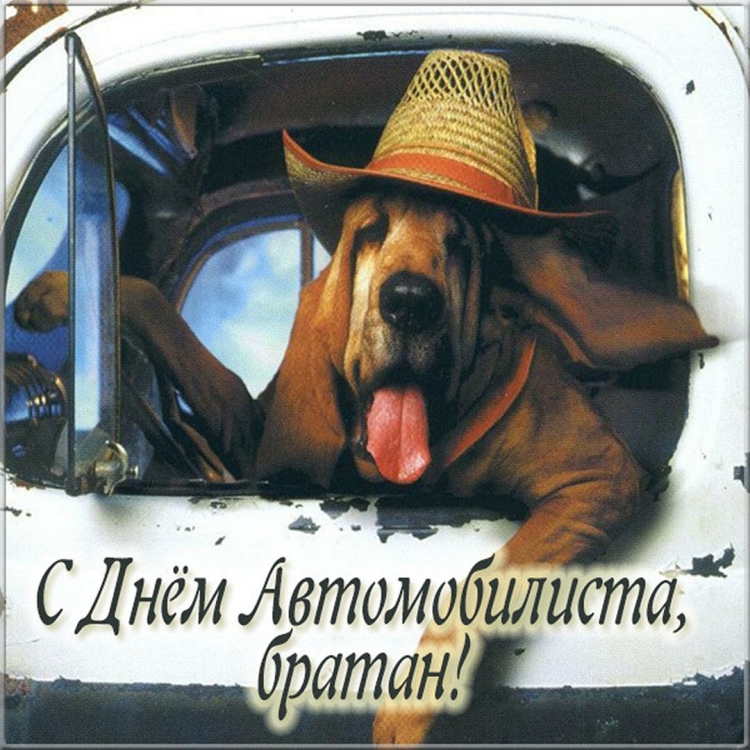 Любимому дальнобойщику