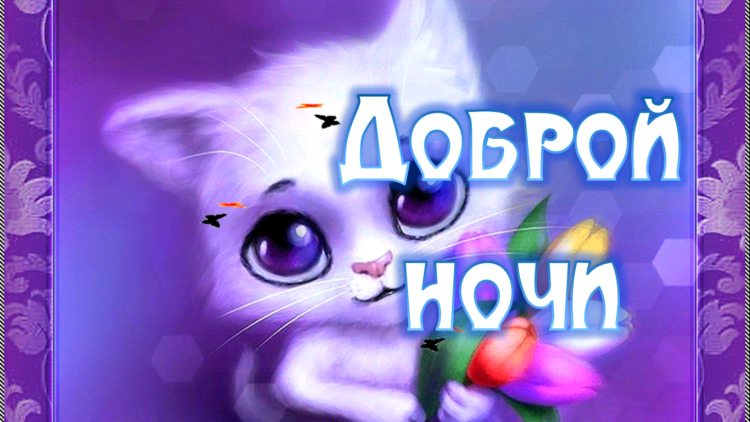 Спокойной ночи картинки прикольные