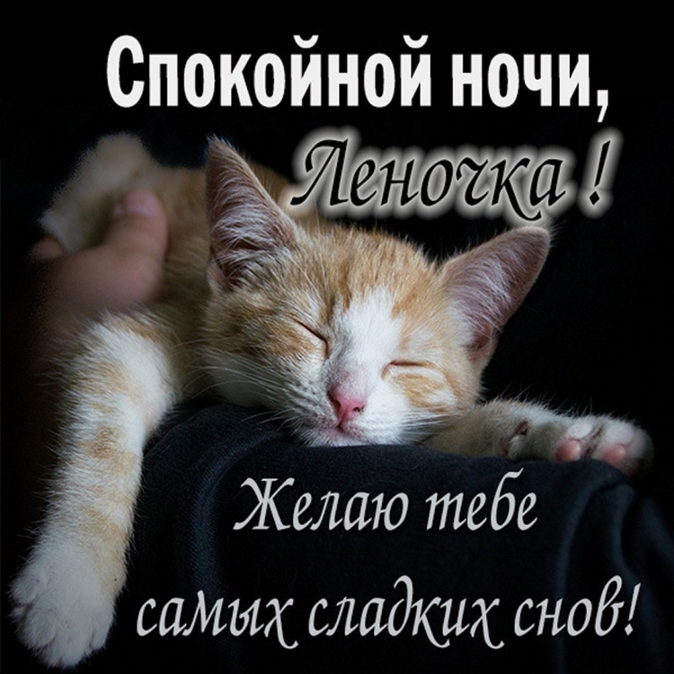 Ирина спокойной ночи сладких снов