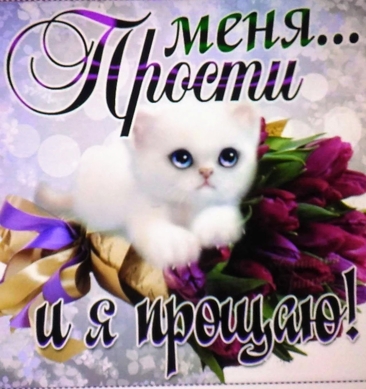 Открытка прости меня