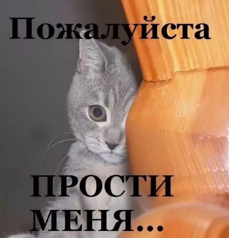 Бог простит и я прощаю