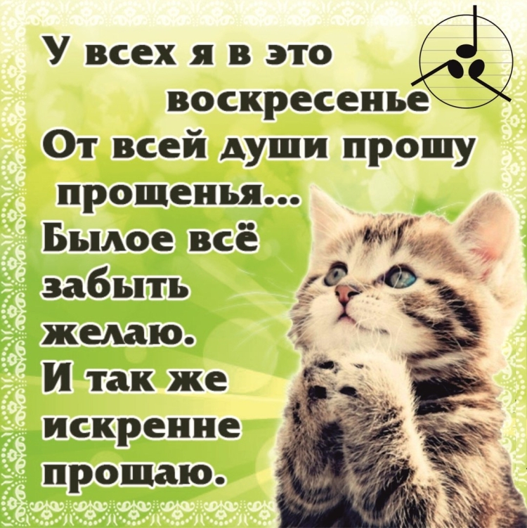 Милые открытки парню