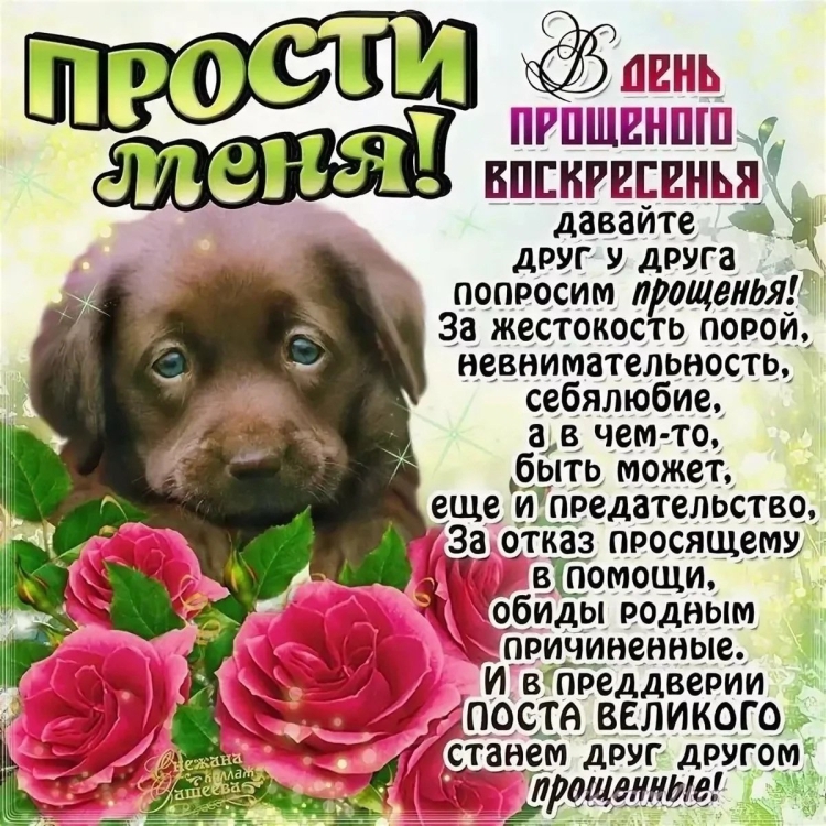 Прощение и извинение