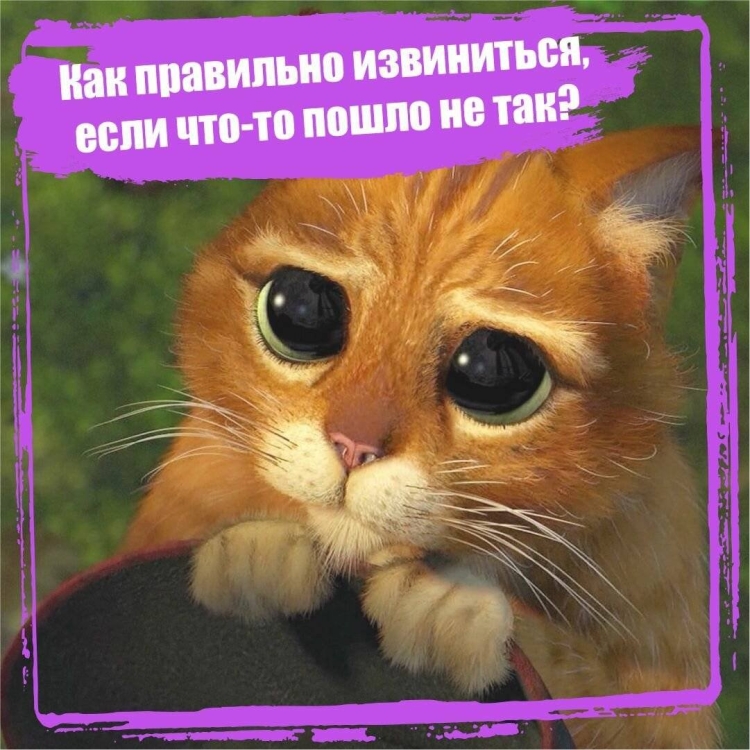 Открытки прости меня мужчине любимому