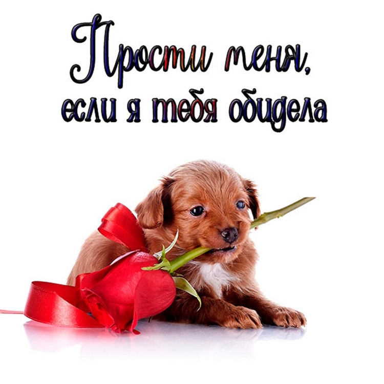 Корни Шрек кот