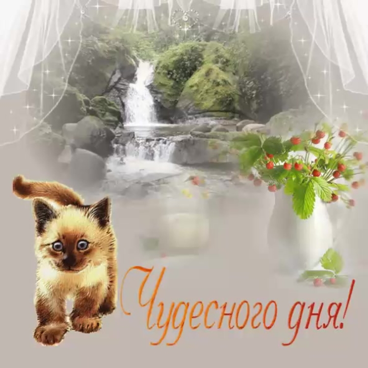 Доброго дня гиф