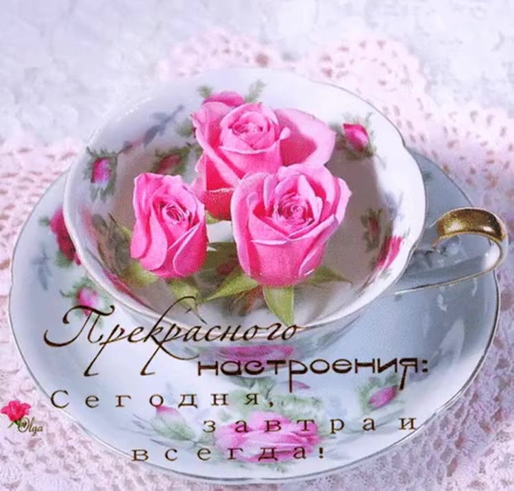 Прекрасного дня удачи и хорошего настроения