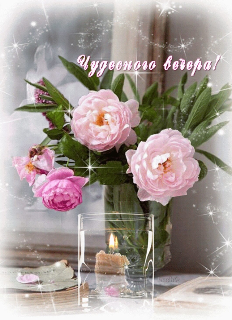 Чудесного вечерного вечера
