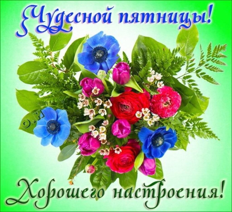 Открытки с добрым утром пятницы