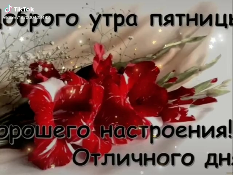Доброй пятницы и хороших выходных
