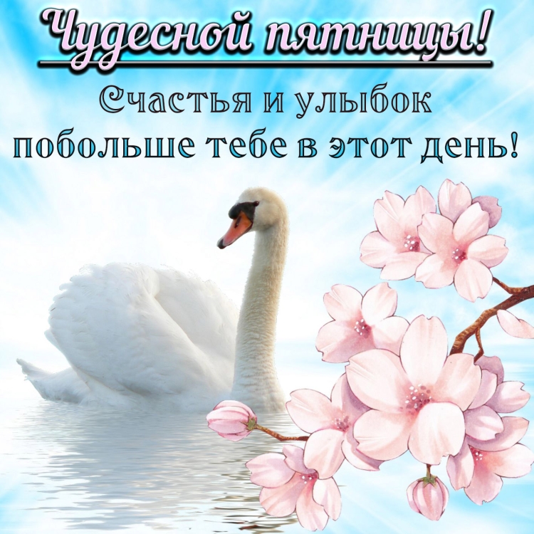 Доброе утро пятницы