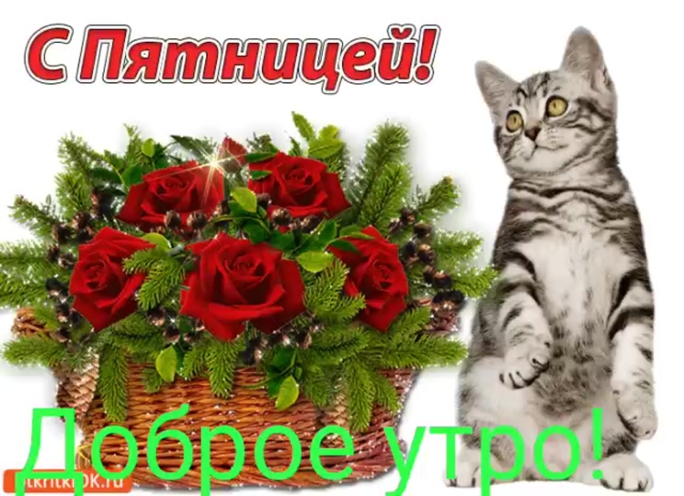 Открытки с пятницей