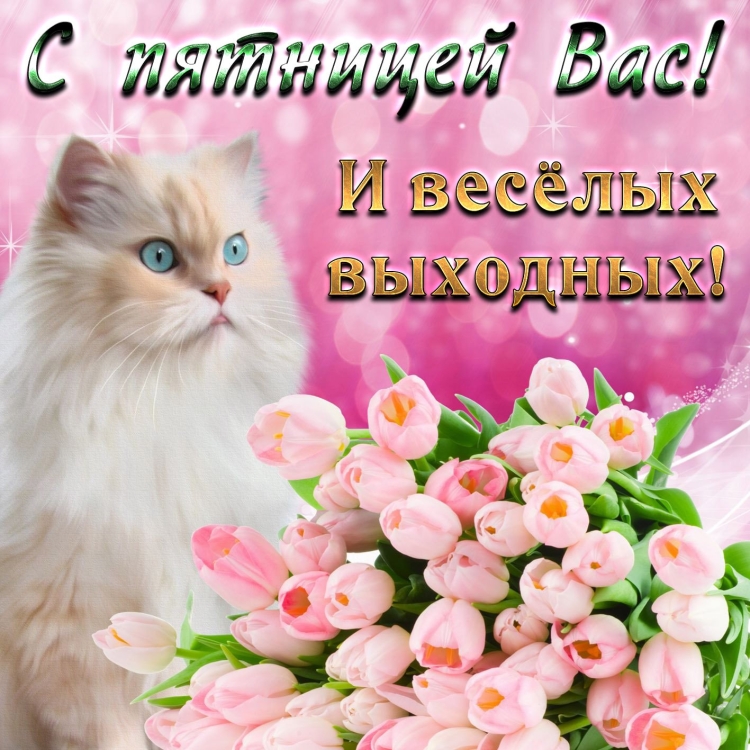 Открытки с пятницей